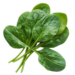 Fototapeta premium Spinach Isolated on a Transparent Background