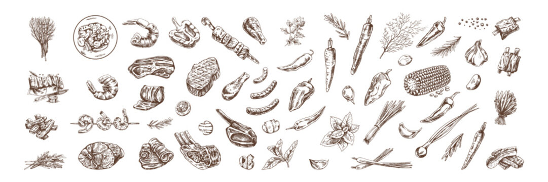 Set of hand-drawn sketches of barbecue and picnic elements, meat. For the design of the menu of restaurants and cafes, grilled food. Doodle vintage illustration. Engraved image.