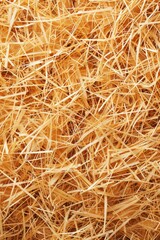 Close-up of straw texture with intricate patterns, representing natural and organic material in agriculture, Gerberative AI