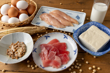 タンパク質食材イメージ