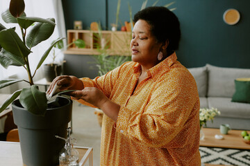 Mature African American woman dusting from Indian rubber bush leaves with concentrated facial...