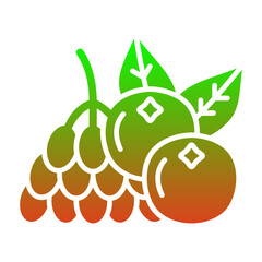 Berries Icon