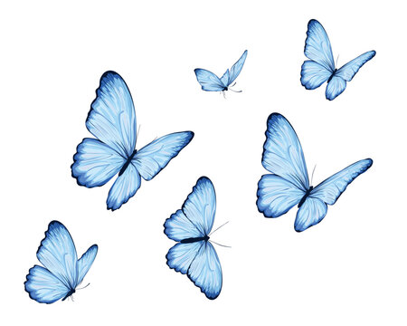 blue butterfly hand drawn dsign vector 