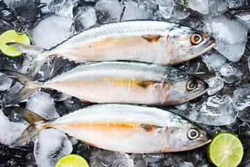 some raw mackerel on ice