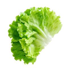Lettuce Isolated on a Transparent Background
