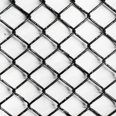 Fototapeta premium The background image of the mesh.