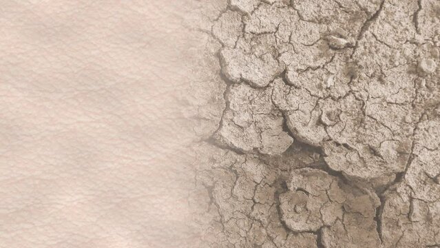 Skin moisture balance. Dry dehydrated human skin before and after moisturizing treatment. Dermatological disease concept