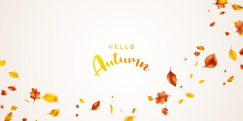 background of fluttering leaves Background for autumn Vector illustration