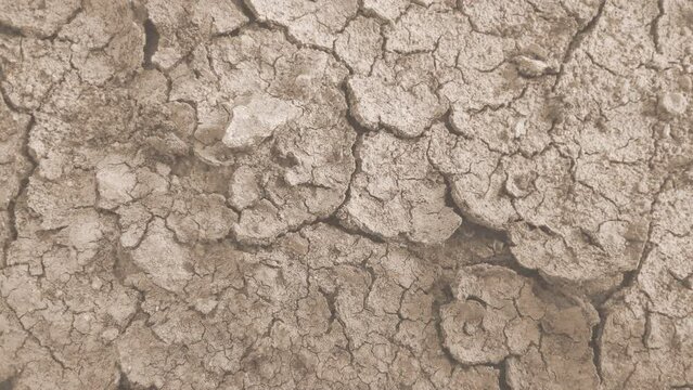 Skin dryness. Normal healthy skin turns into dry, dehydrated, cracked desert soil. Problem skin disease concept. Ad for moisturizing skin care cosmetic products