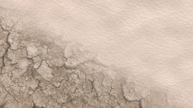 Skin hydro balance concept. Comparison of normal human skin with dry dehydrated desert soil. Ad for skin care moisturizer cream or other cosmetic products