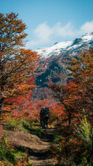 Refugio Jackob - Bariloche, Patagonia Argentina