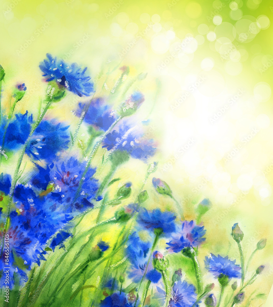Wall mural blue cornflowers on green lights background. watercolor flowers. illustration.