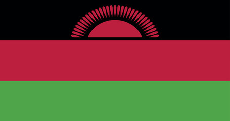 Illustration of the national flag of Malawi