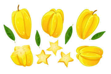 Carambola fruits. Collection of ripe, tropical star fruits. Vector illustration.