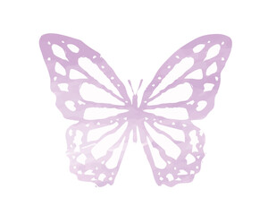 pink watercolor butterfly hand drawn design	