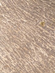 Portrait background of brown textured concrete. Perfect for wallpaper, backdrop, or any design projects.
