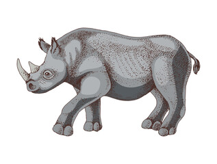 Black rhinoceros extinct animal sketch