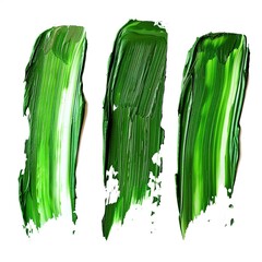 Fototapeta premium set of watercolor brush strokes