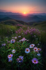 Obraz premium High mountain sunrise and wildflowers