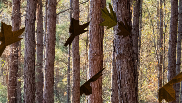 Leaves Falling 3 Loop Motion Overlay 4k 1:1 16:9 9:16
