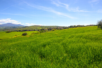 Fototapeta premium Spring landscape of San Quirico d'Orcia, province of Siena, Italy