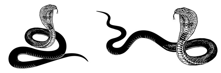 cobra silhouette vector