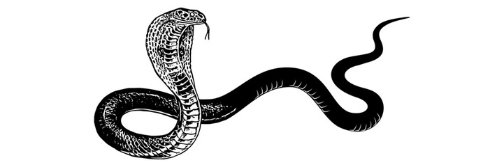 cobra silhouette vector