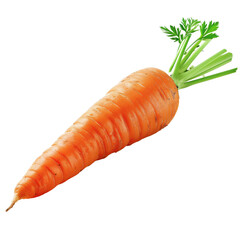 Fresh Carrot with Green Tops on transparent background