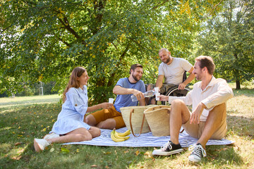 Inclusive outdoor picnic with friends enjoying a sunny day in the park