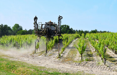 Machine blowing sand in between rows of vines on vineyard - working the land