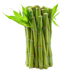 Cluster of vibrant green bamboo stalks with fresh leaves on a white background, symbolizing nature, growth, and tranquility.