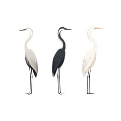 Obraz premium Heron | Minimalist and Simple set of 3 Line White background - Vector illustration