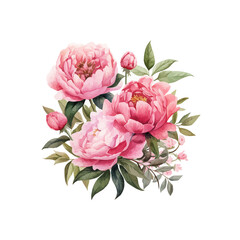 Happy mothers day illustrations watercolor pink peony flower bouquet isolated on white background digital painting