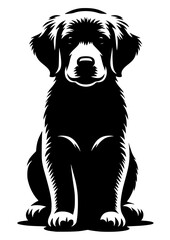 Golden Retriever SVG, Dog SVG, Dog Breed SVG, Labrador SVG, Puppy SVG, Dog Face, Dog Head, Dog Silhouette, Golden Retriever Silhouette, Dog Clipart, Dog Cricut, SVG, JPG, PNG