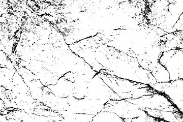 Cracks rock texture white and black.