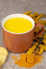 Natural Ayurvedic drink golden milk with turmeric and spices in a mug