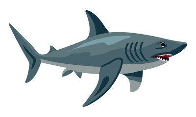 shark clipart isolated on white background