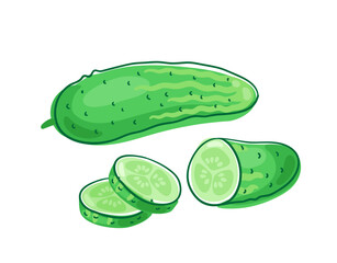 Fresh green cucumber. Whole and cut into pieces. Picture in line style. Dark outline with colored spots. Isolated on white background. Vector flat illustration.