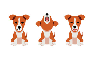 Fototapeta premium Set of vector cartoon character cute basenji dog for design.