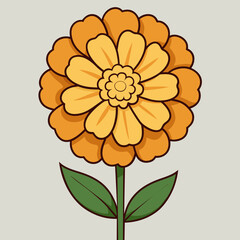 Marigold Wildflower vector illustration