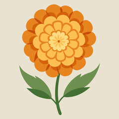Marigold Wildflower vector illustration
