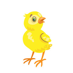 Funny yellow chicken. Isolated on white background. Vector flat illustration.