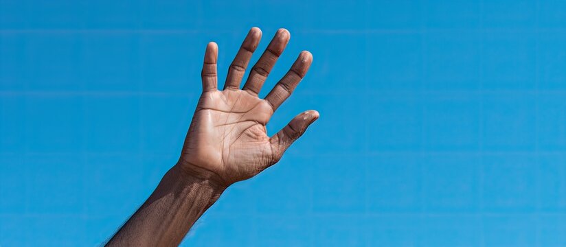 Sri Lanka's blue sky provides a vivid background for these hands with a copy space image.