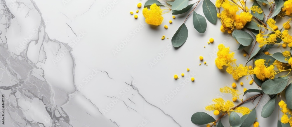 Poster yellow flowers and eucalyptus leaves arranged on a marble background in a flat lay top view, providi