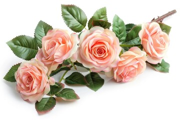A bouquet of fresh flowers on a white background