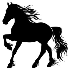 Andalusian Horse png image