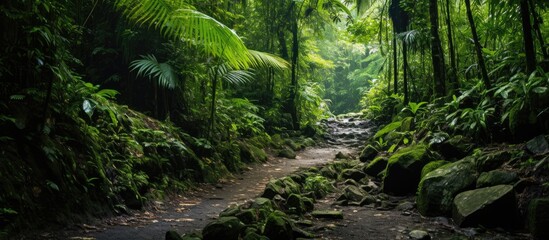 Obraz premium Winter camping in a forest with a heated tent is a form of ecotourism, suitable for tourism in the cold season..copy space image