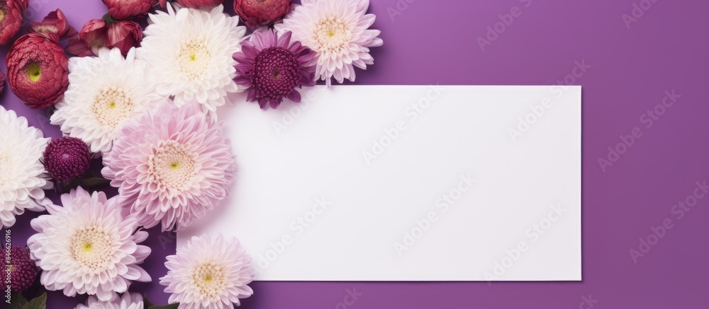 Aufkleber Beautiful chrysanthemum flowers arranged in a frame with a blank card on a violet background in a flat lay composition, creating a copy space image.