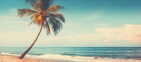 Tropical beach scene with a coconut tree and a retro filter providing a vintage look, perfect as a background for a copy space image. © vxnaghiyev