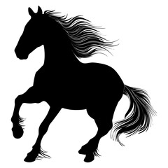 Andalusian Horse png image